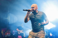 041 Festival SAUMON 2017 - DAREZ ET EBH