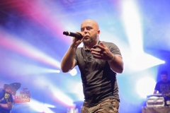 045 Festival SAUMON 2017 - DAREZ ET EBH